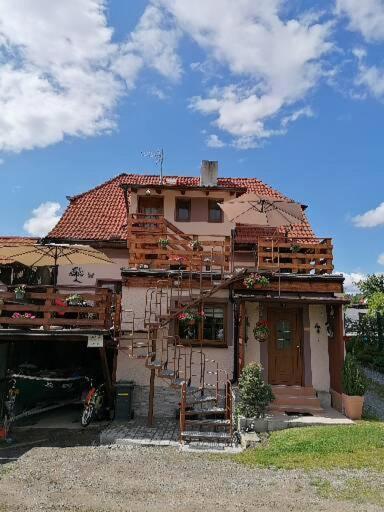 Ubytovani U Andilka Horní Planá エクステリア 写真