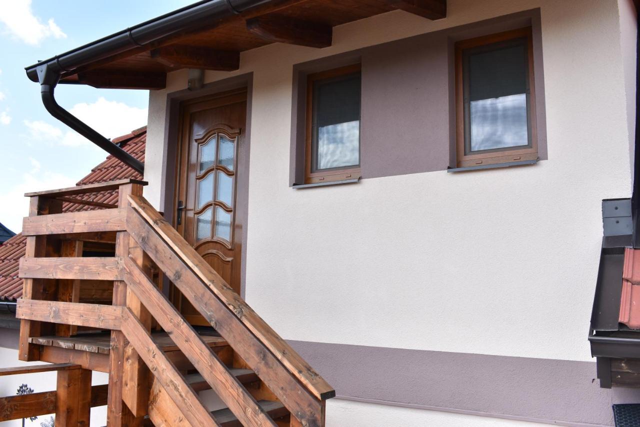 Ubytovani U Andilka Horní Planá エクステリア 写真